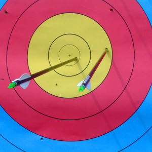 Archery_Bersaglio_Target