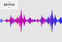 Spitch biometria vocale