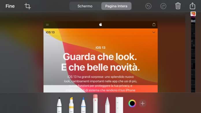 Screenshot Safari iOS