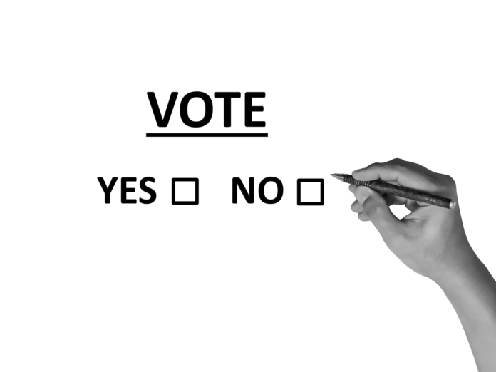 voto elettronico pixabay