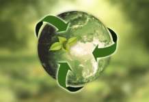 sostenibilità pixabay
