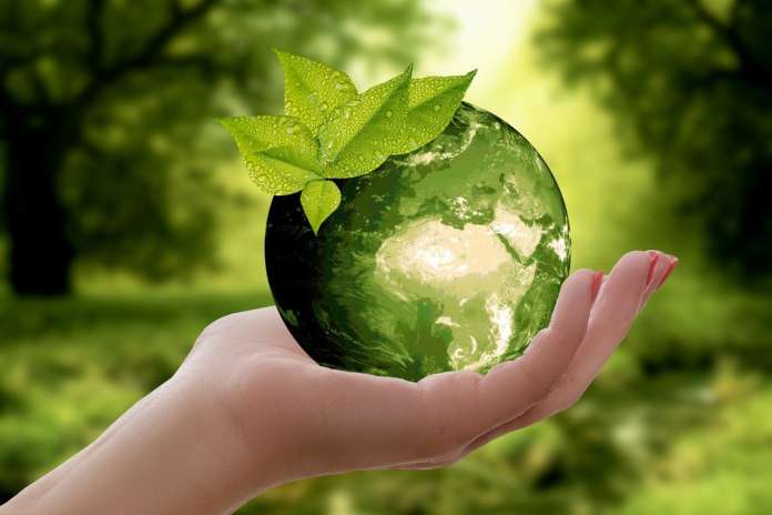 Corporate Social Responsibility sostenibilità pixabay