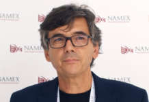 Maurizio Goretti, Direttore Generale di Namex